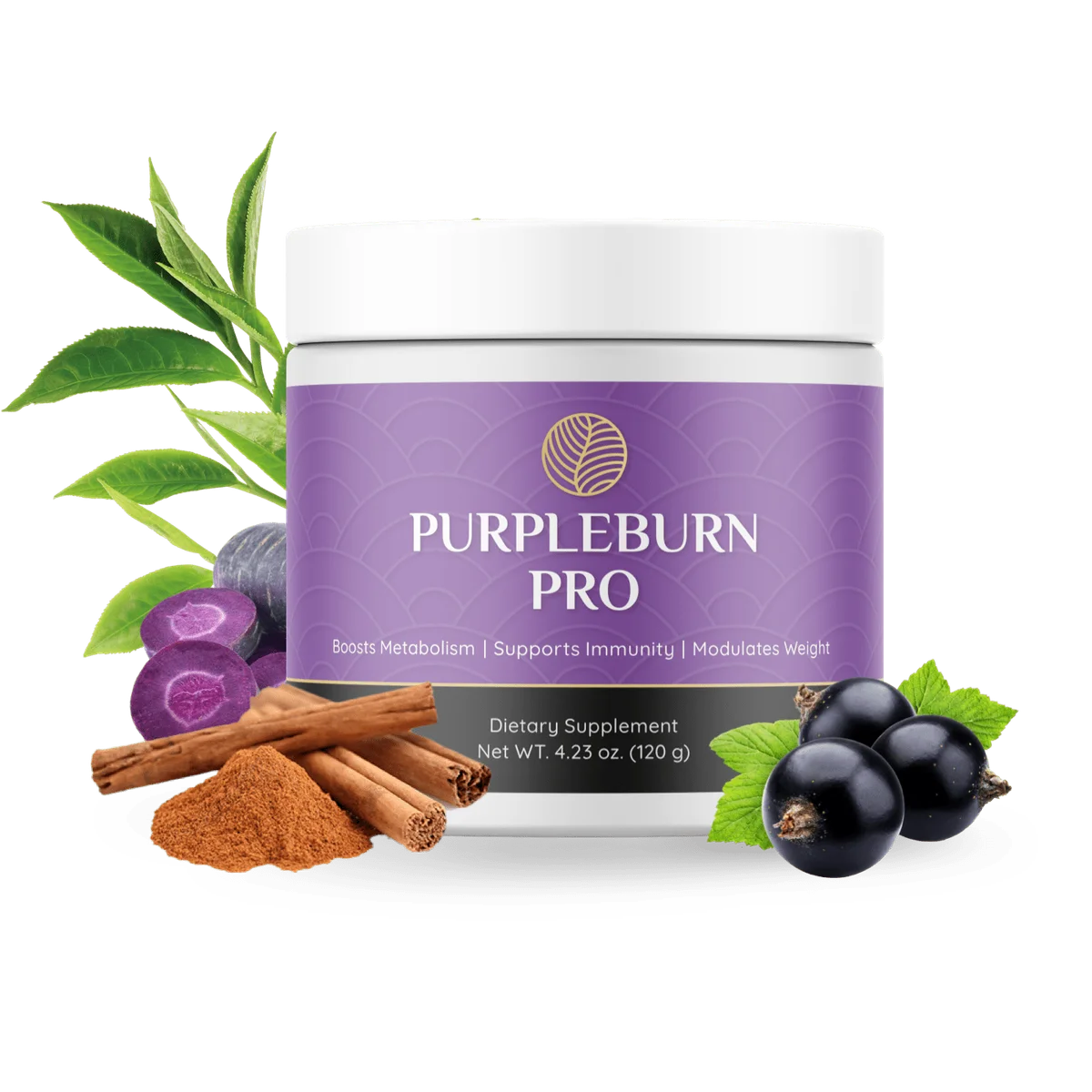 PurpleBurn Pro Weight Management Supplement Bottle (Front Label)